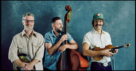 Lonesome Ace Stringband